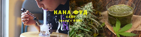 индика Вязники